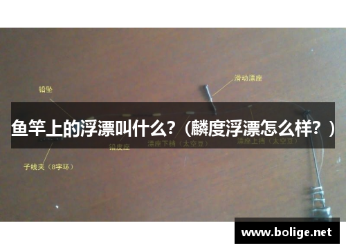 鱼竿上的浮漂叫什么？(麟度浮漂怎么样？)